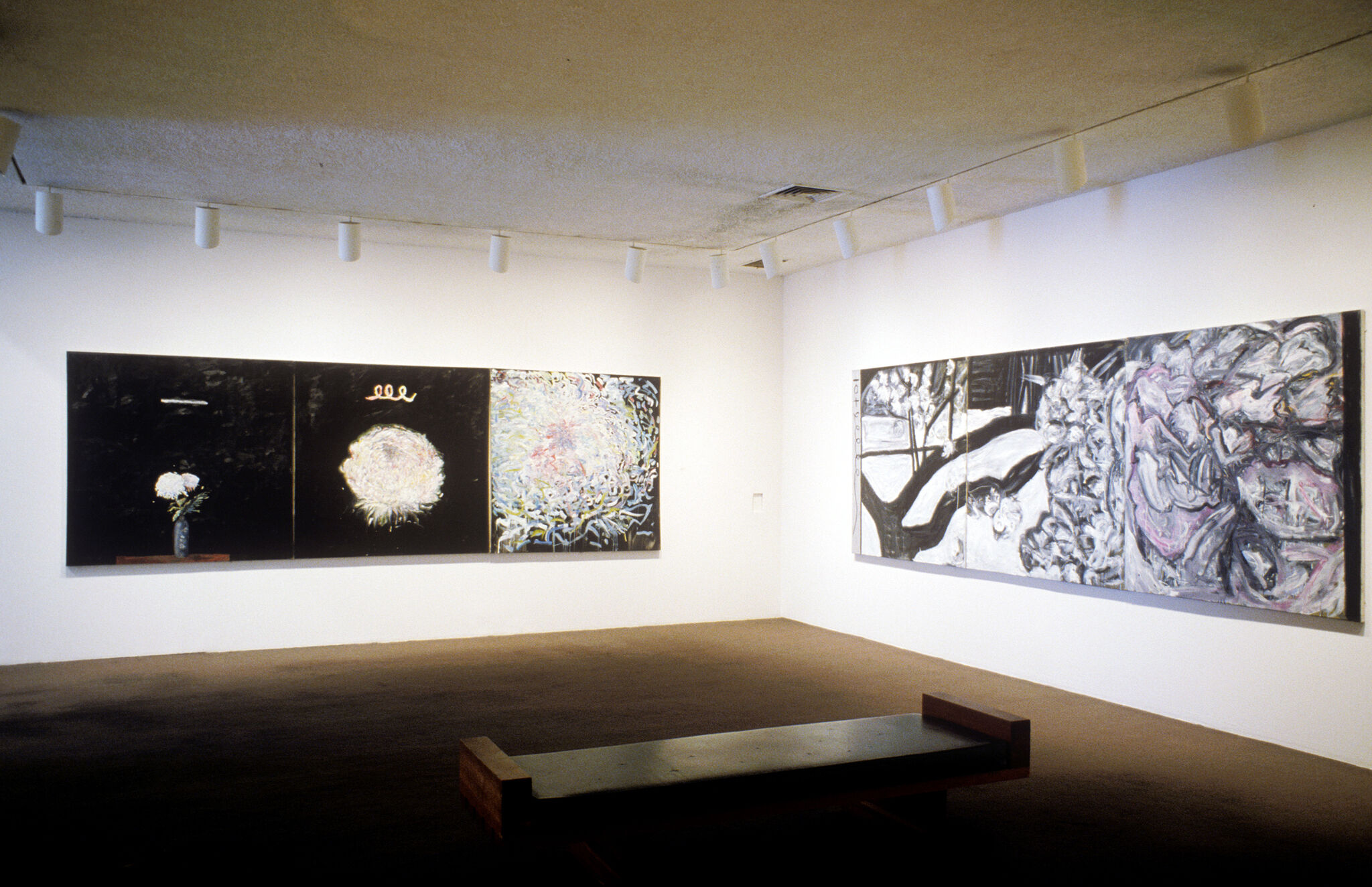 Works of art in a gallery.