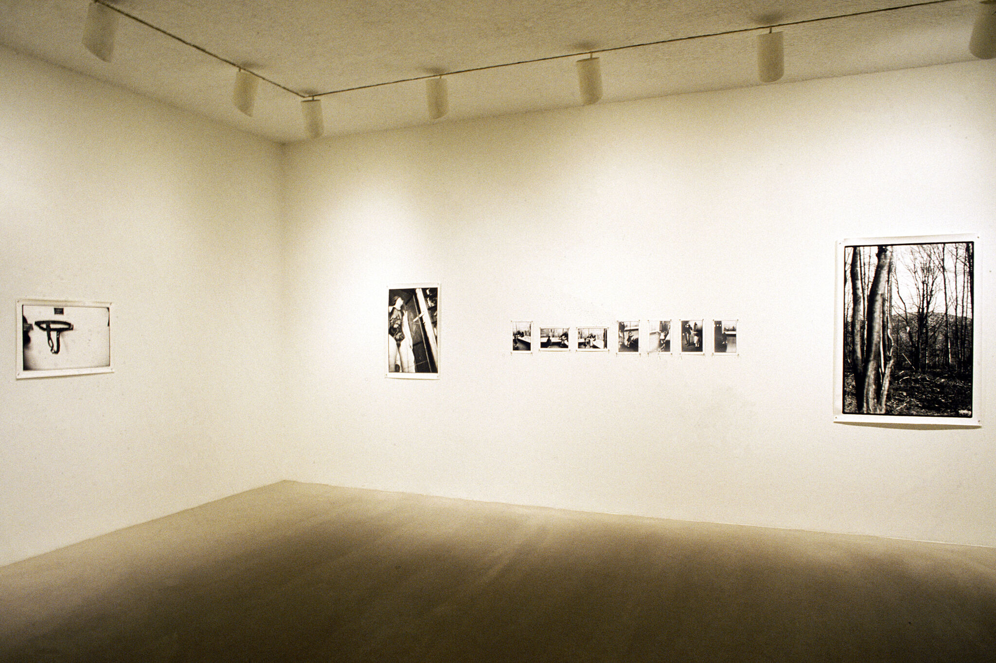 Works of art in a gallery.