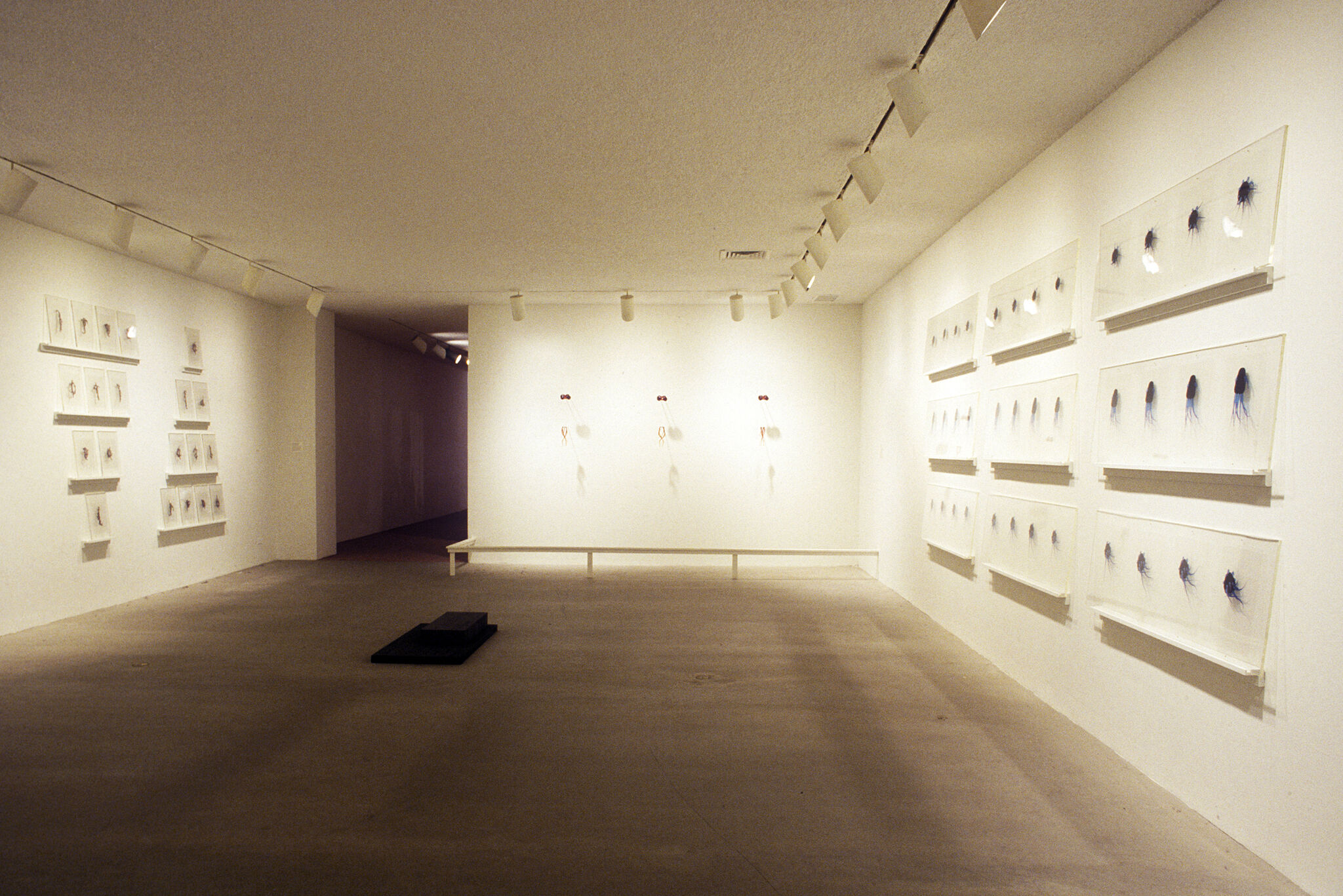 Works of art in a gallery.