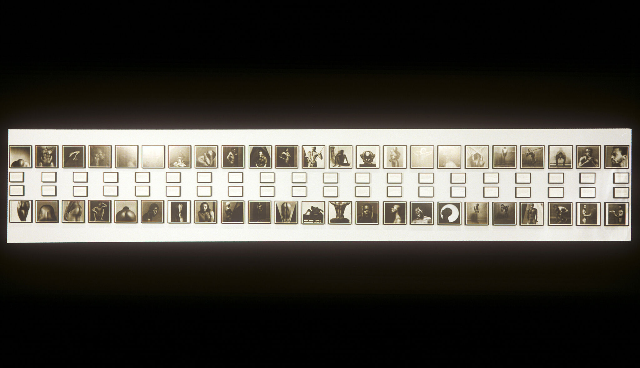 Works of art in a gallery.