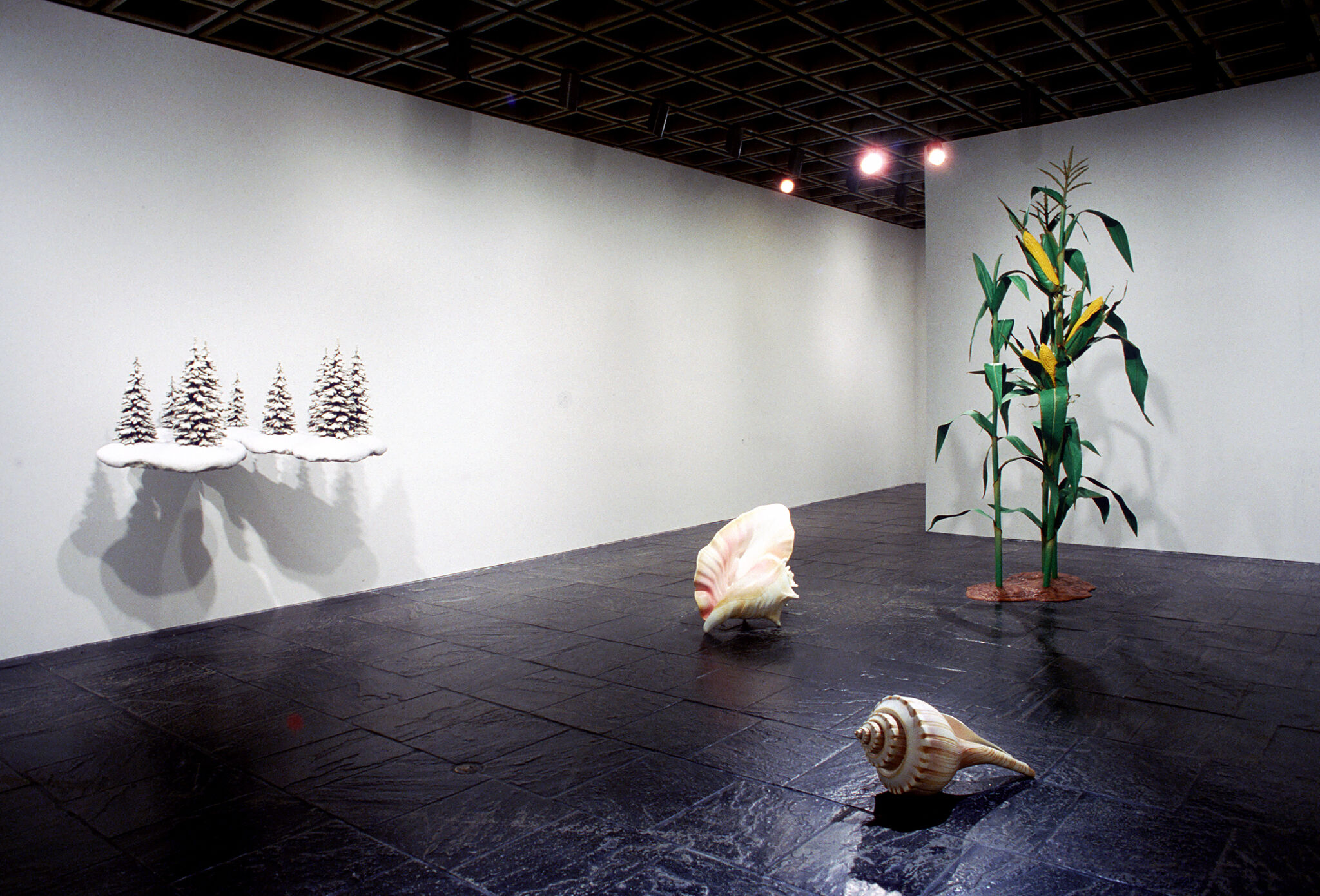 Works of art in a gallery.