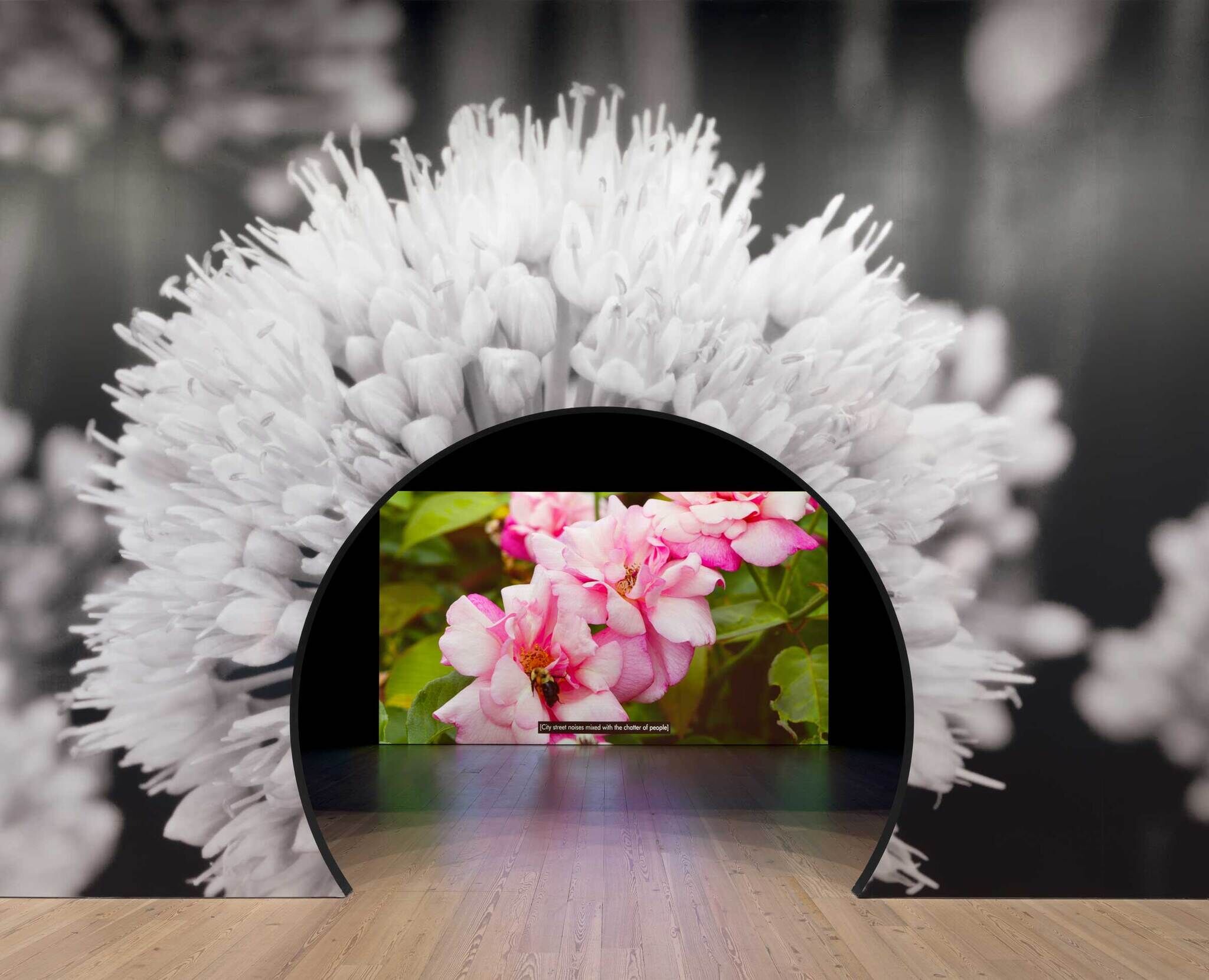 A circular cutout in a grayscale floral backdrop reveals vibrant pink flowers, contrasting with the monochrome surroundings.