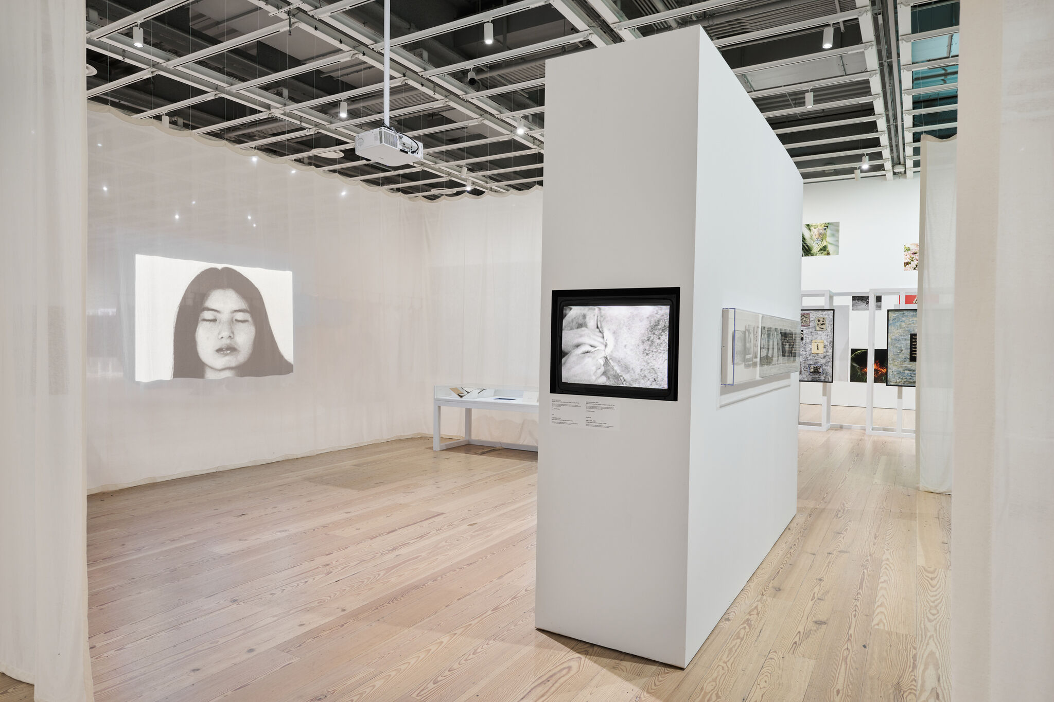 Multiple artwork in a light-filled gallery.