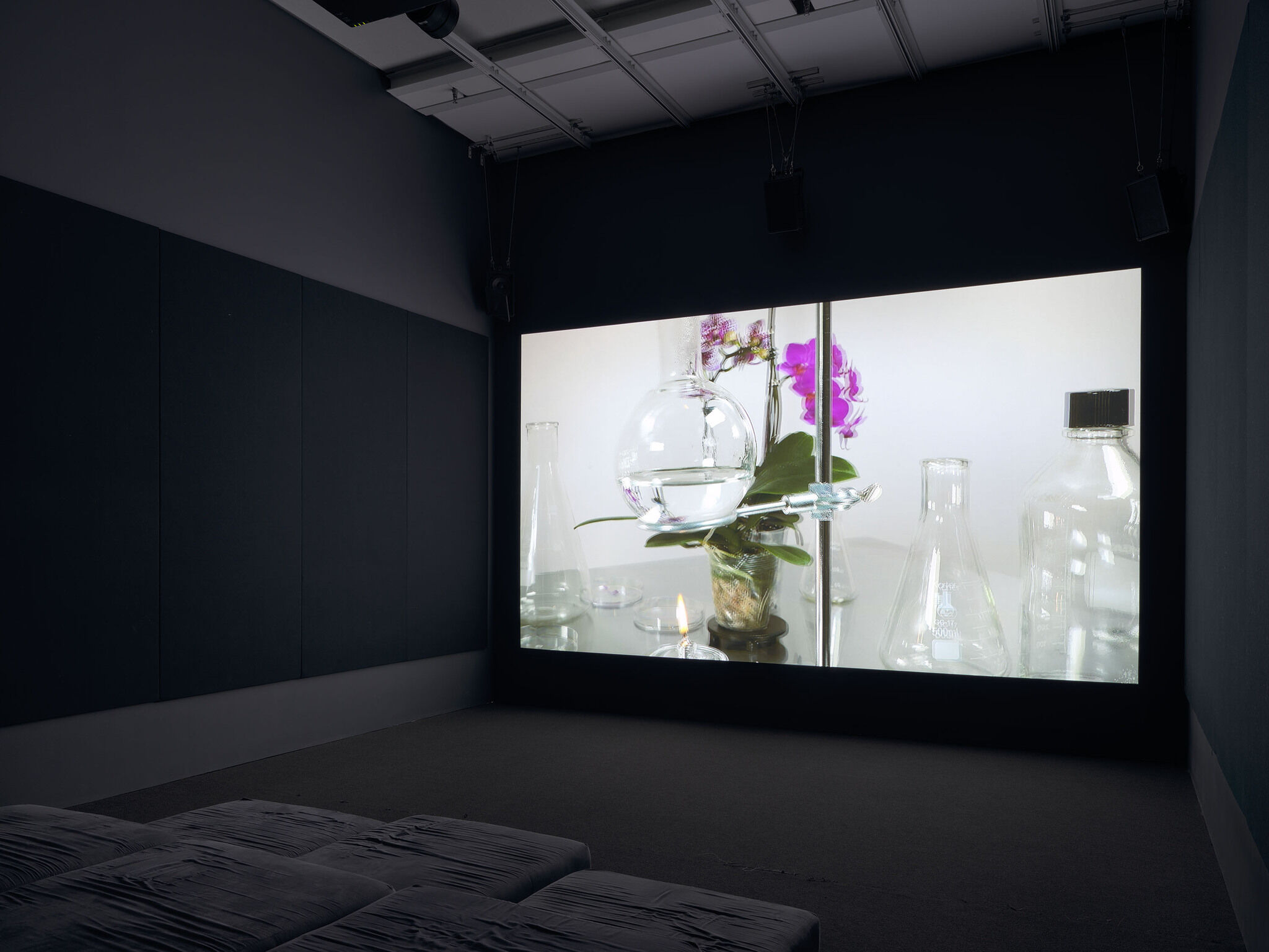 A screen playing a video in a dark room.