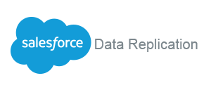 Salesforce Data Replication