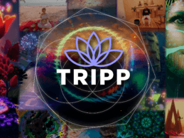 TRIPP Secures $11M to Expand Digital Psychedelic Wellness Platform for Mental Health